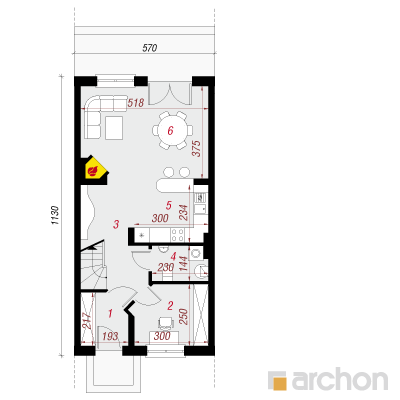 House under the gingko 