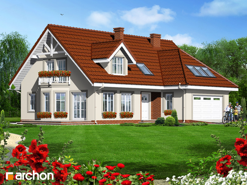 House in the phloxes