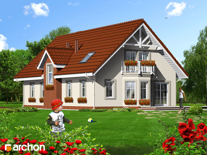 House in the phloxes