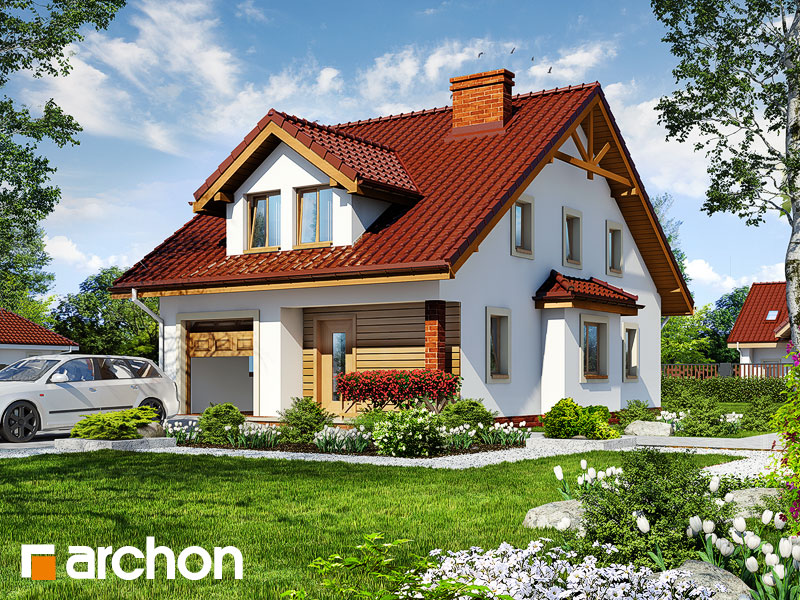 House in  the dandelions
