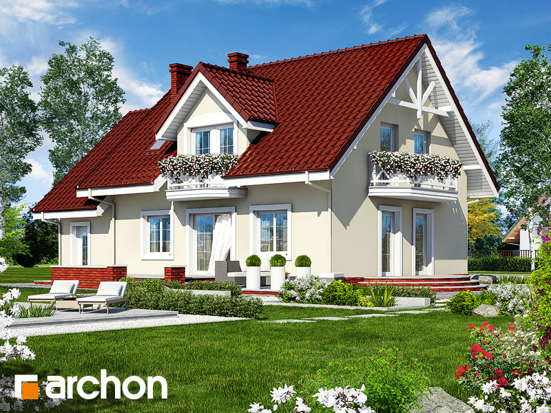 House in the celosia