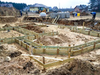 Storczyki_f356_2_thumb