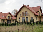 Anyżek_2__1_thumb
